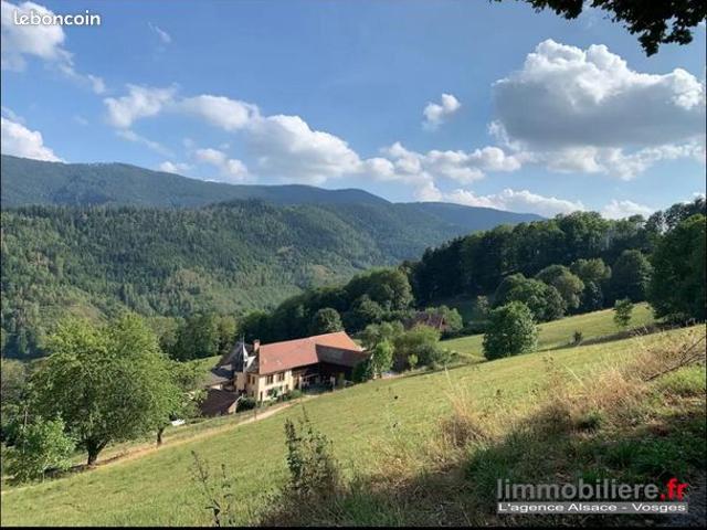 Maison vente à Colmar-Ribeauvillé, Sainte-marie-aux-mines