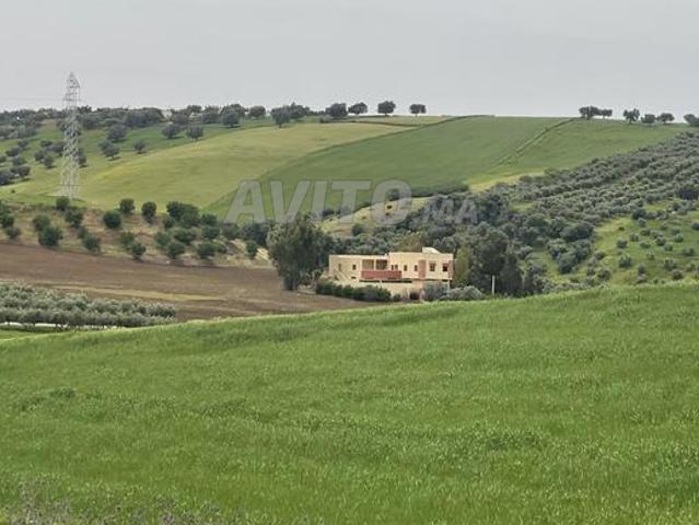 Propriété vente à Meknès