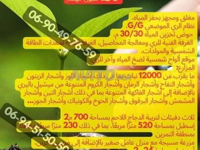 Propriété vente à Ben Slimane