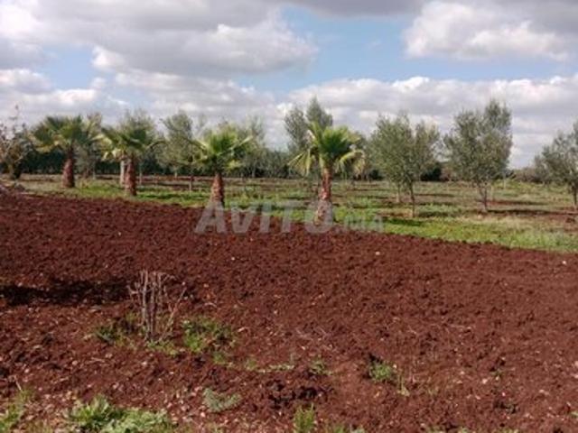 Propriété vente à Anfa, Gharb-Chrarda-Beni Hssen