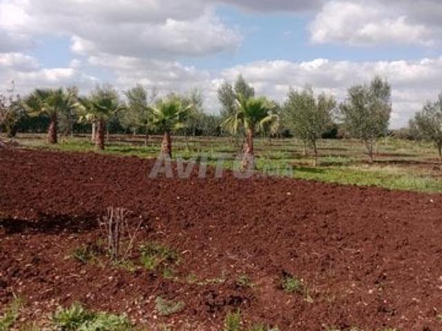 Propriété vente à Anfa, Gharb-Chrarda-Beni Hssen