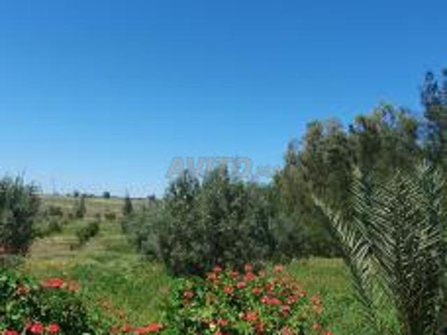 Propriété vente à Slimane, Gharb-Chrarda-Beni Hssen