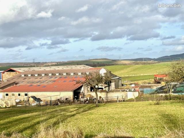 Maison vente à Forbach-Boulay-Moselle, Boulay-moselle