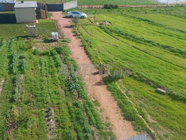 Propriété vente à El Ma, Gharb-Chrarda-Beni Hssen
