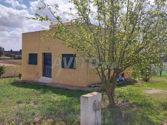 Propriété vente à Salé