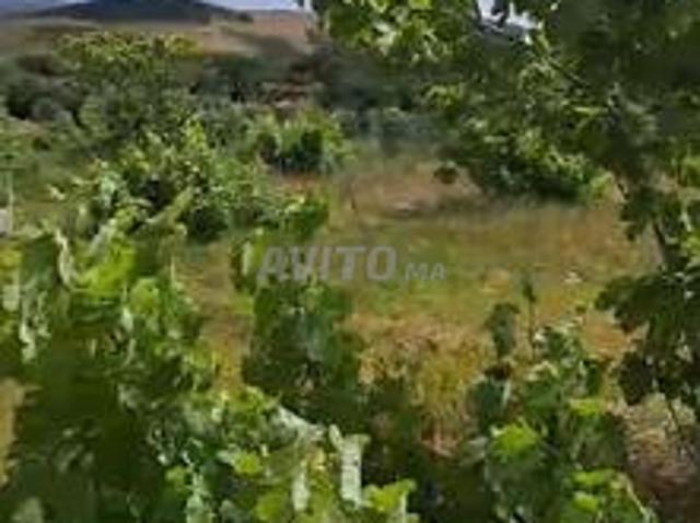 Propriété vente à Tangero, Tanger-Tétouan