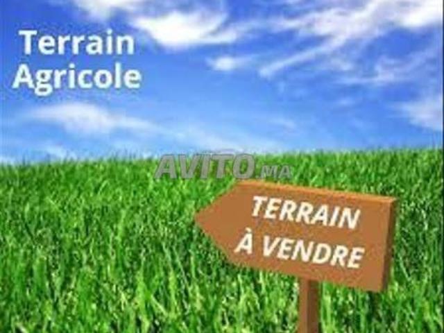 Propriété vente à Agadir, Oued ed Dahab-Lagouira
