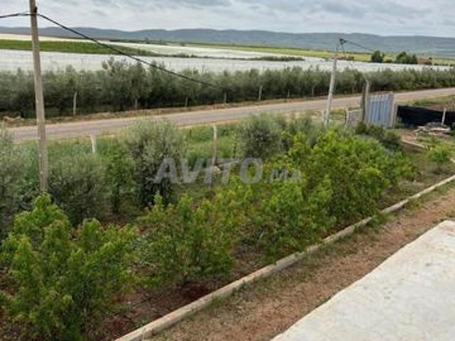 Propriété vente à Meknès