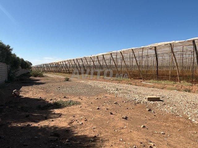 Propriété vente à Taroudant, Oued ed Dahab-Lagouira