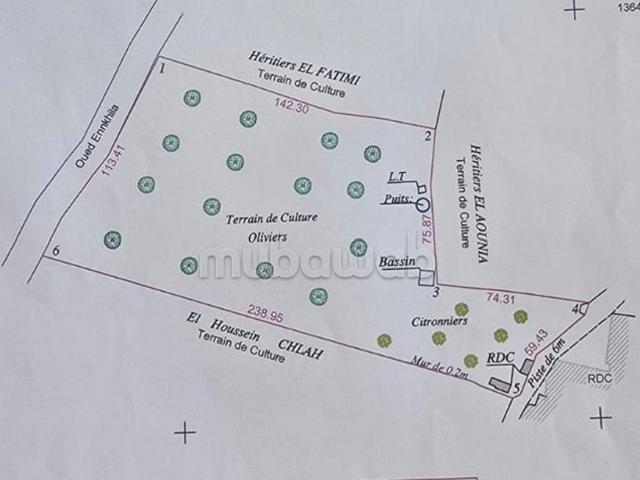 Ferme vente à Sidi Bou Othmane, L'Oriental