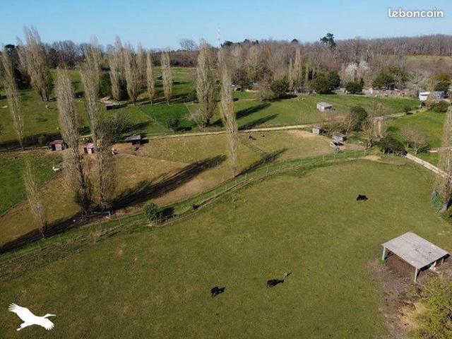 Maison vente à Périgueux, Campsegret