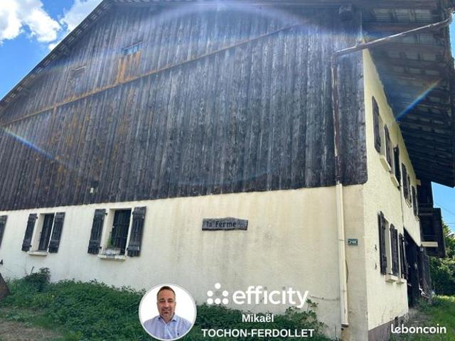 Maison vente à Thonon-les-Bains, Les Gets