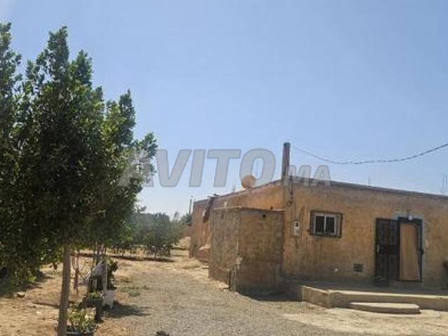 Propriété vente à Ben Slimane