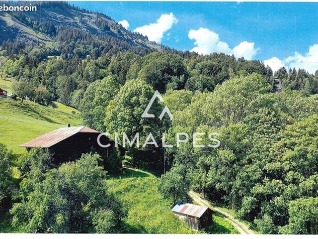 Maison vente à Bonneville, Praz-sur-arly
