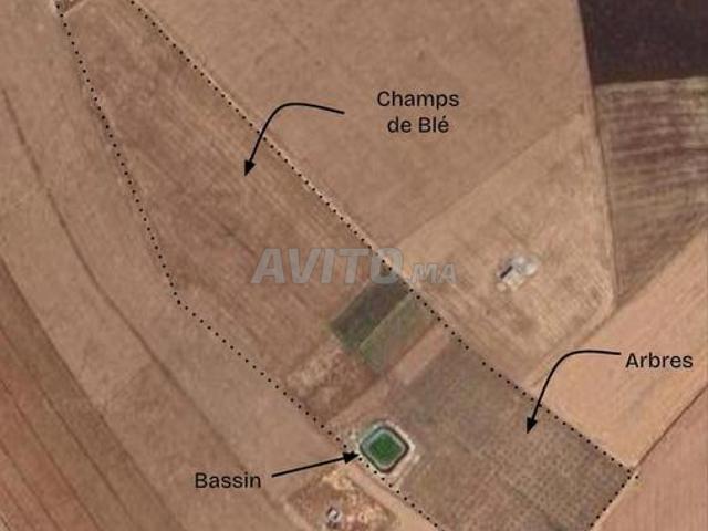 Propriété vente à Slimane, Gharb-Chrarda-Beni Hssen