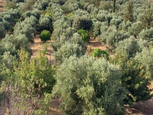 Terrain vente