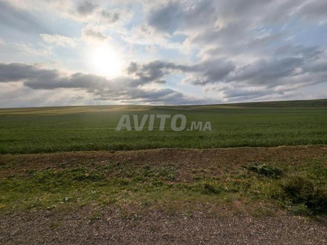 Propriété vente à Settat, Gharb-Chrarda-Beni Hssen