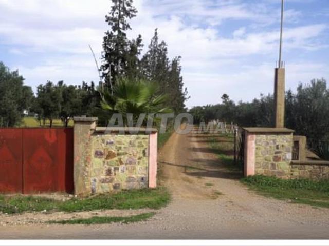 Propriété vente à Slimane, Gharb-Chrarda-Beni Hssen