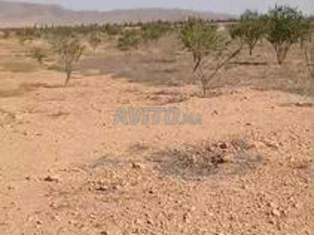 Propriété vente à Ben Slimane