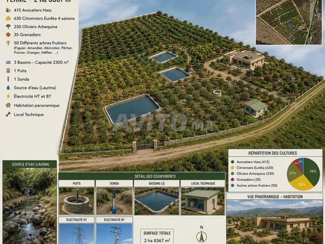 Propriété vente à Assilah, Tanger-Tétouan
