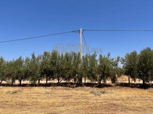 Propriété vente à Meknès