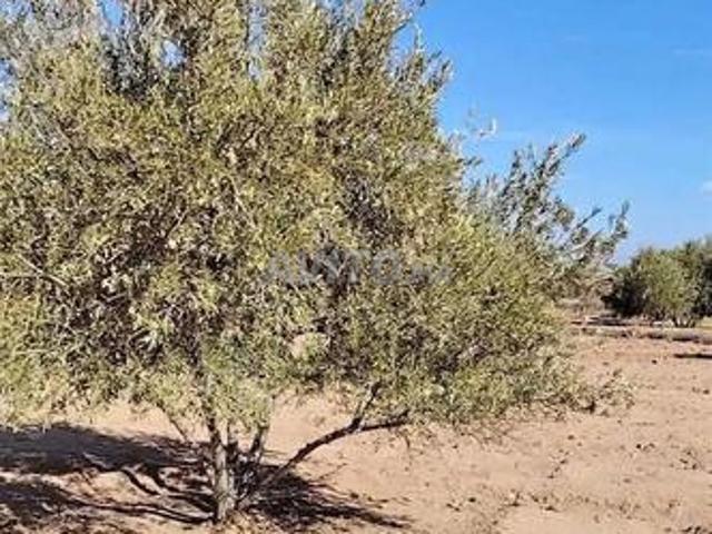 Propriété vente à Chichaoua, L'Oriental