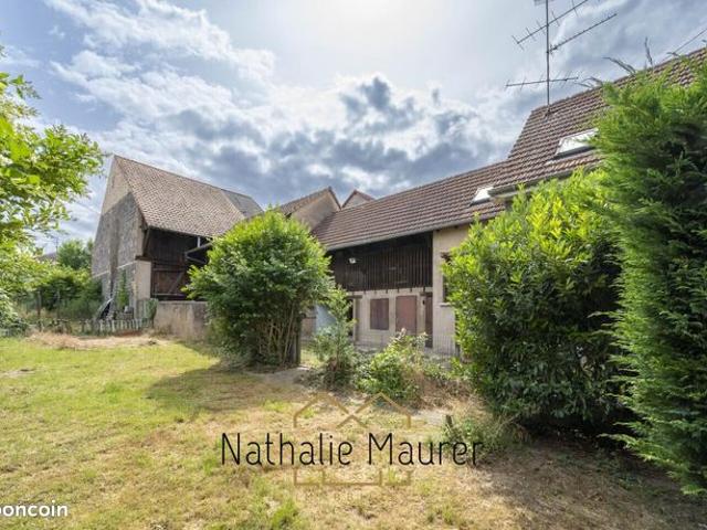 Maison vente à Molsheim, Dorlisheim