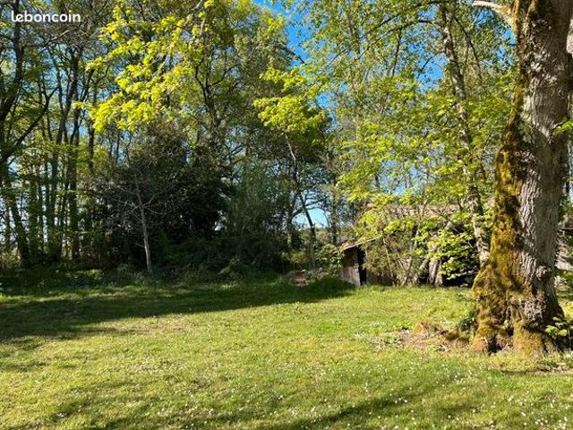 Maison vente à Mont-de-Marsan, Losse