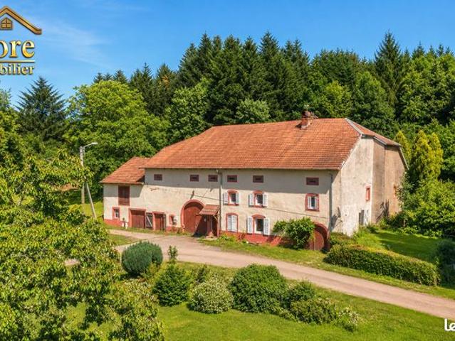 Maison vente à Saint-Dié-des-Vosges, Moyenmoutier