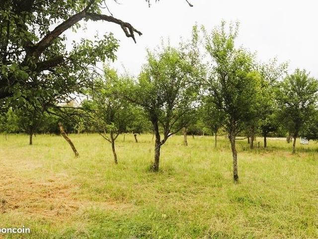 Maison vente à Gœrsdorf, Collectivité européenne d'Alsace