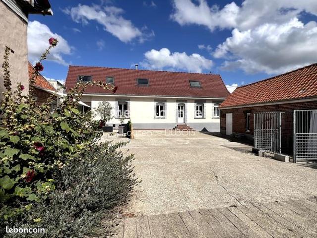 Maison vente à Arras, Hestrus