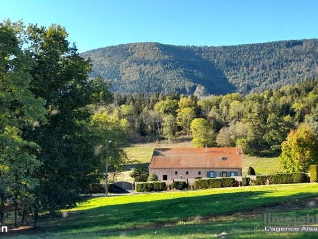 Maison vente à Colmar-Ribeauvillé, Sainte-marie-aux-mines