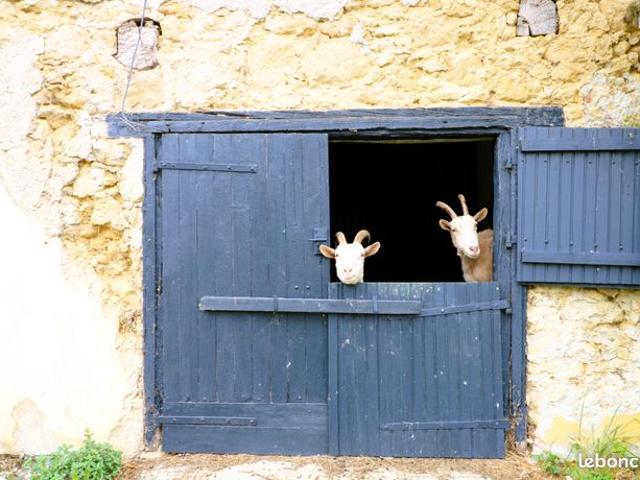 Maison vente à Mirande, Masseube