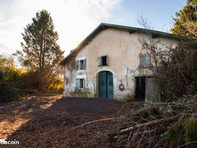 Maison vente à Bayonne, Came