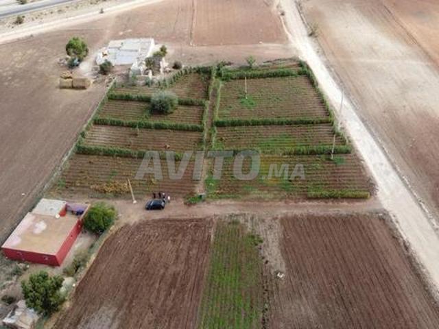 Propriété vente à El Ma, Gharb-Chrarda-Beni Hssen