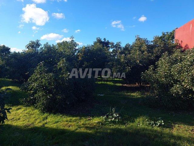 Propriété vente à Salé
