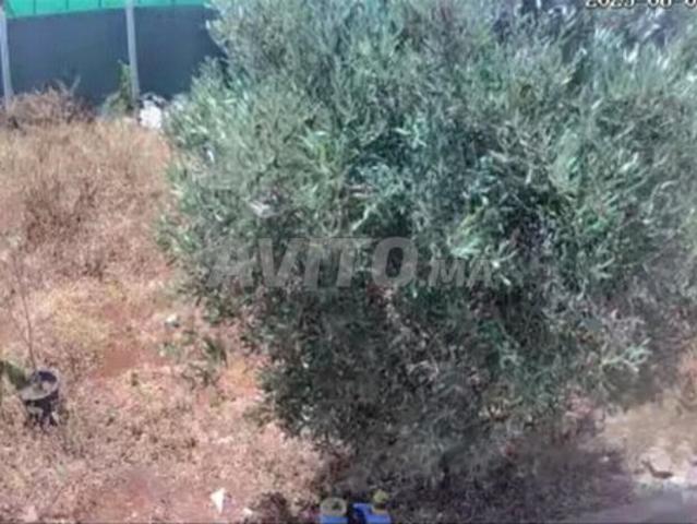 Propriété vente à Aïn Harrouda, Gharb-Chrarda-Beni Hssen