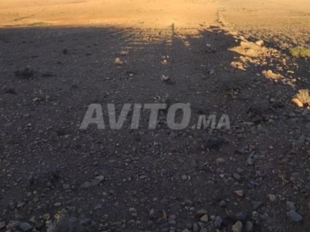 Propriété vente à Ben Slimane