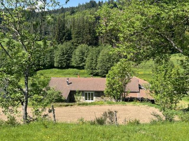 Maison vente à Le Puy-en-Velay, Allègre