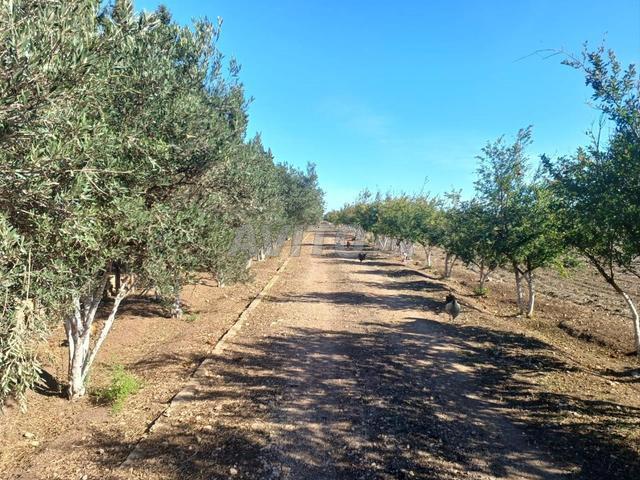 Propriété vente à Bouskoura, Gharb-Chrarda-Beni Hssen