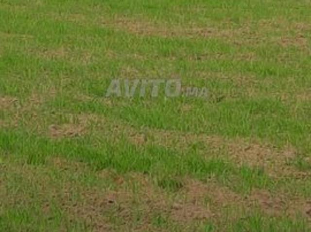 Propriété vente à El Ma, Gharb-Chrarda-Beni Hssen