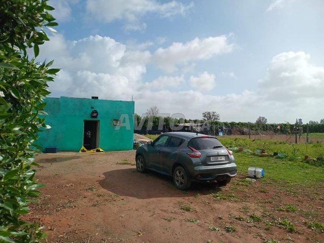 Propriété vente à El Ma, Gharb-Chrarda-Beni Hssen