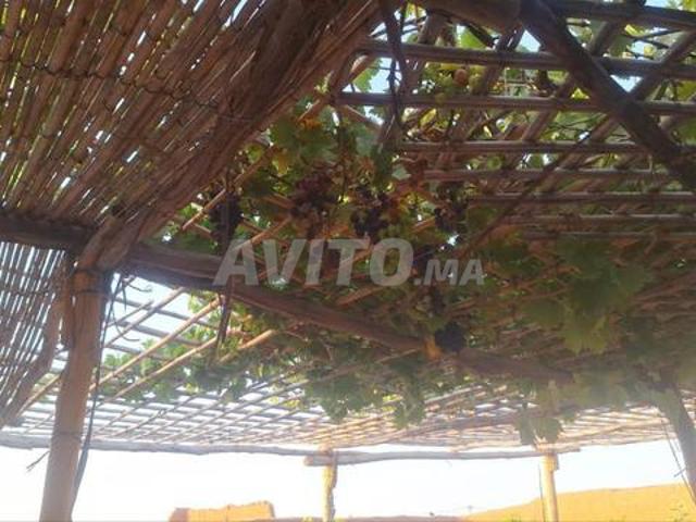Maison vente à Chichaoua, L'Oriental