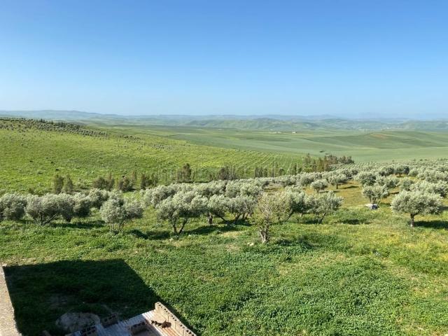 Ferme vente à El Ma, Gharb-Chrarda-Beni Hssen
