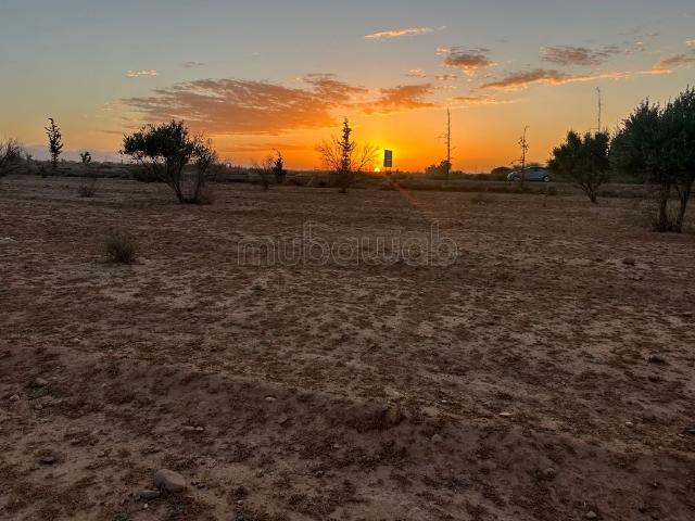 Ferme vente à Al Haouz, L'Oriental