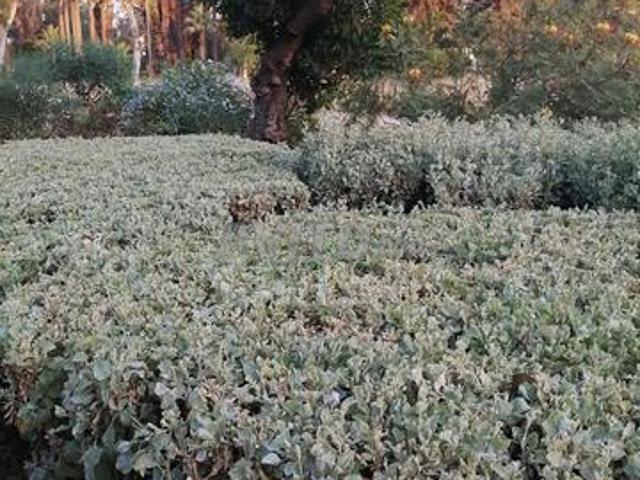 Propriété location à Essaouira, L'Oriental