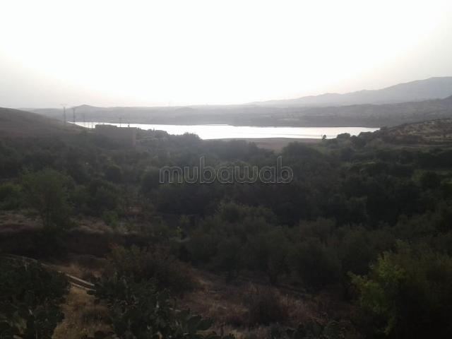 Ferme location à Al Haouz, L'Oriental