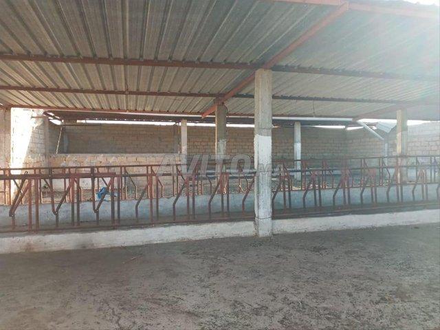 Propriété location à Settat, Gharb-Chrarda-Beni Hssen