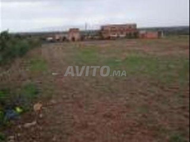 Propriété location à Fès