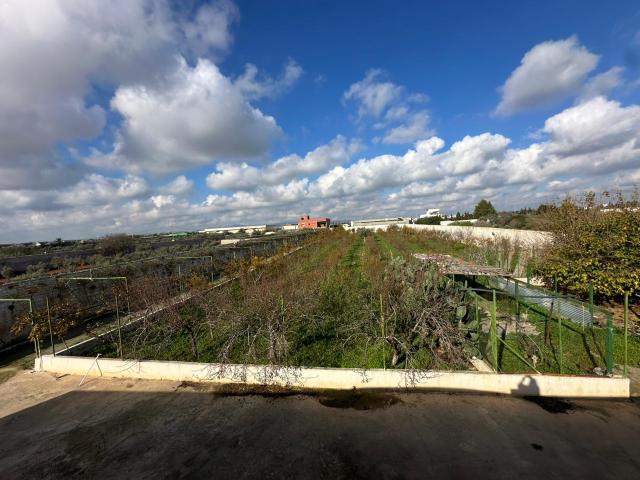 Terrain vente à Kelibia, Beni Khalled